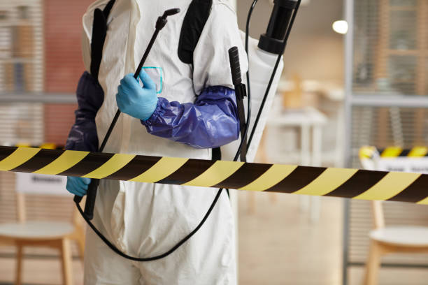 Professional Sewage Cleanup technician working in Olympia, WA
